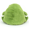 Jellycat gosedjur - Groda 13 cm - Ricky Rain Frog. Rolig leksak och fin doppresent
